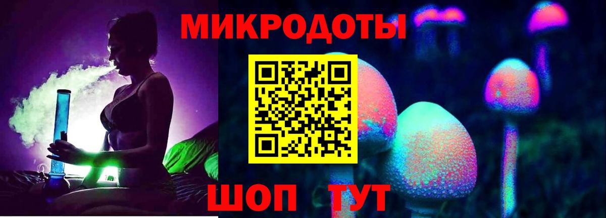 Пугачёв  Галлюциногенные грибы ЛСД  Вход с VPN 
